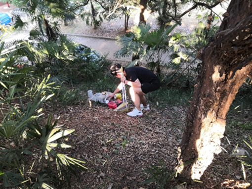 1570694787263354.png 1570694787263354.png