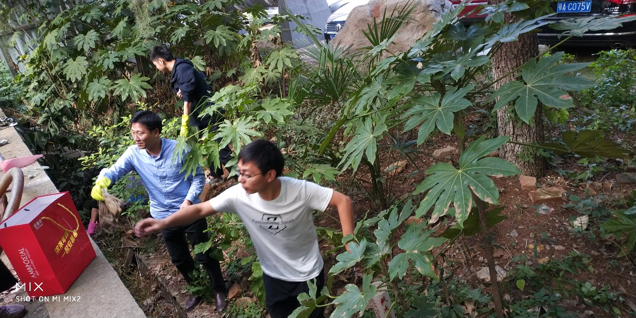 1571547031912273.jpg clip_image007.jpg