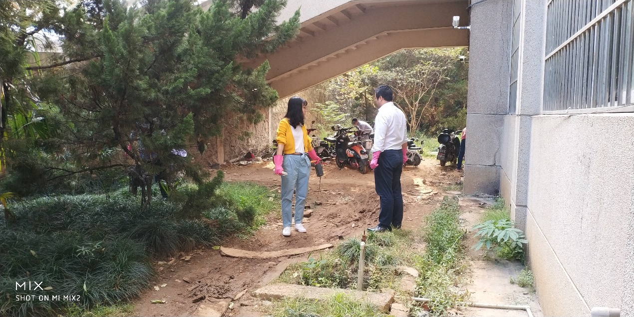 1571546994583553.jpg clip_image006.jpg