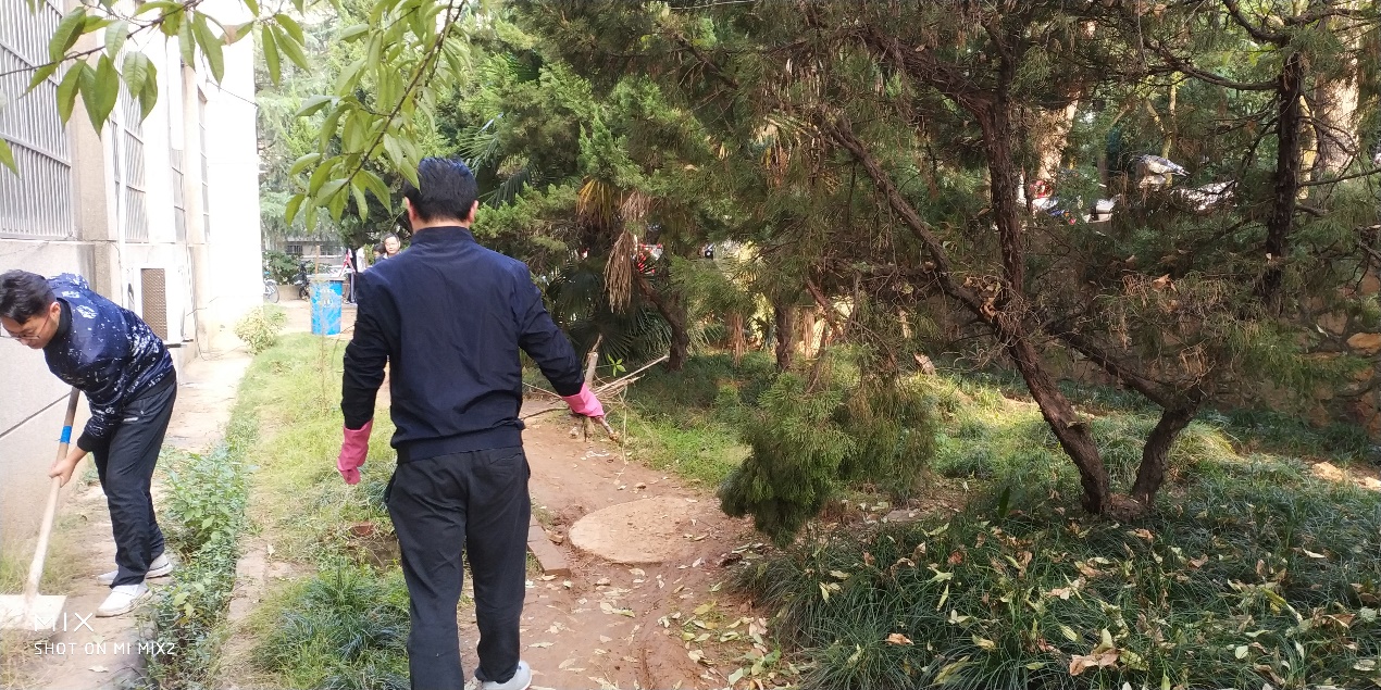 1571546967129456.jpg clip_image005.jpg